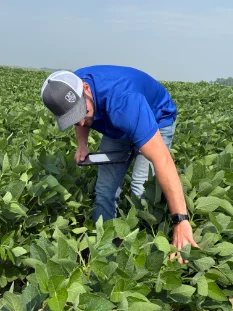 agronomy services