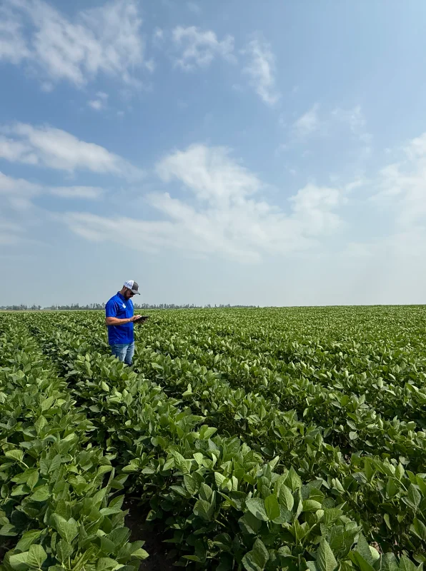 agronomy